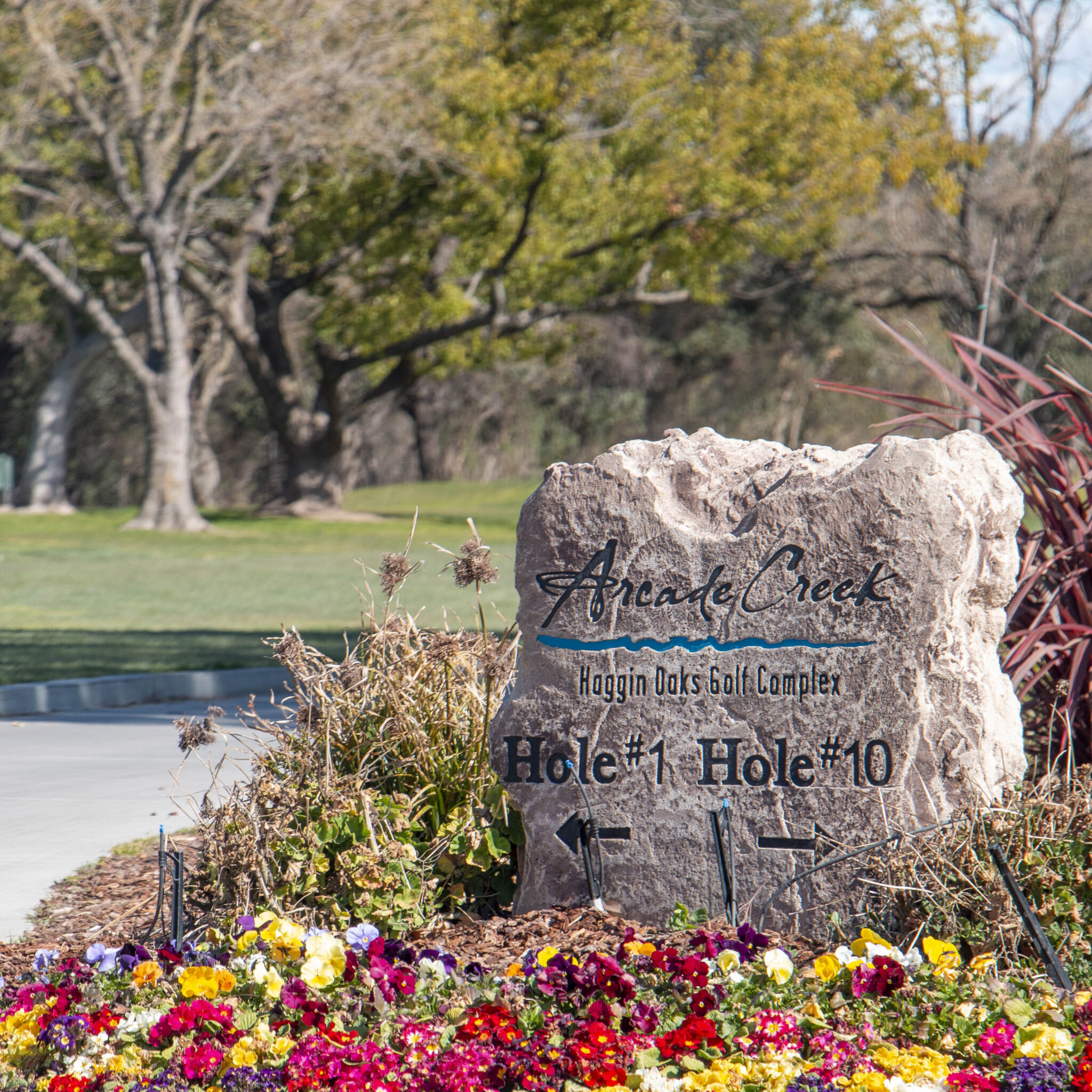 Arcade Creek's Doublecross A MustPlay Hole For Any Enthusiast