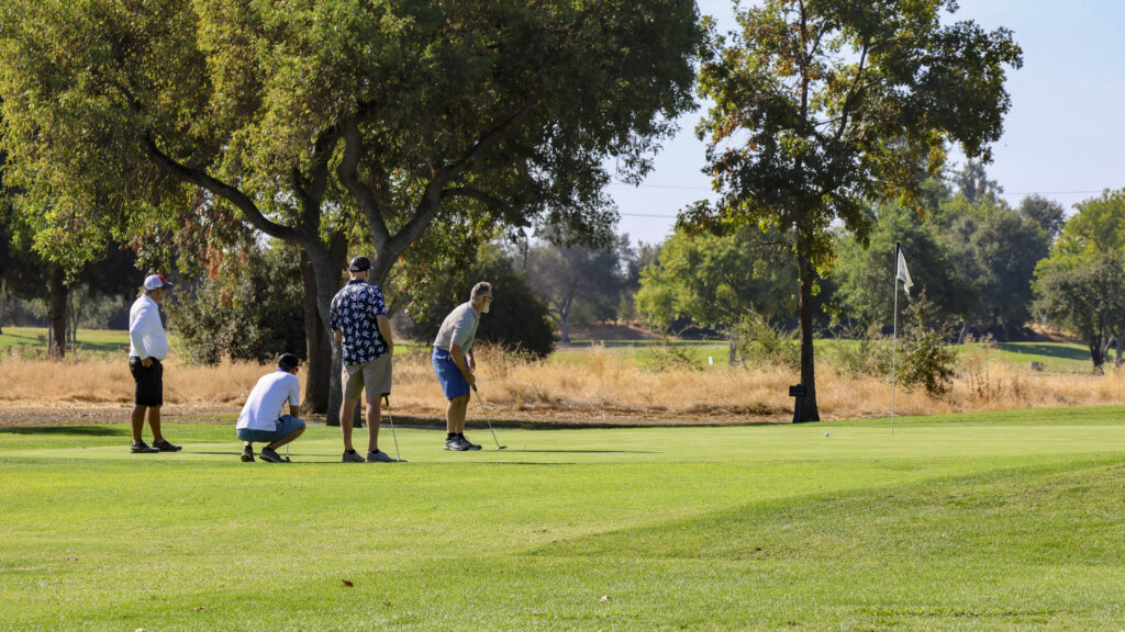 A group of 4 golfers on the #7 green. One of them has just putted and the group is watching as his ball travels towards the hole. 