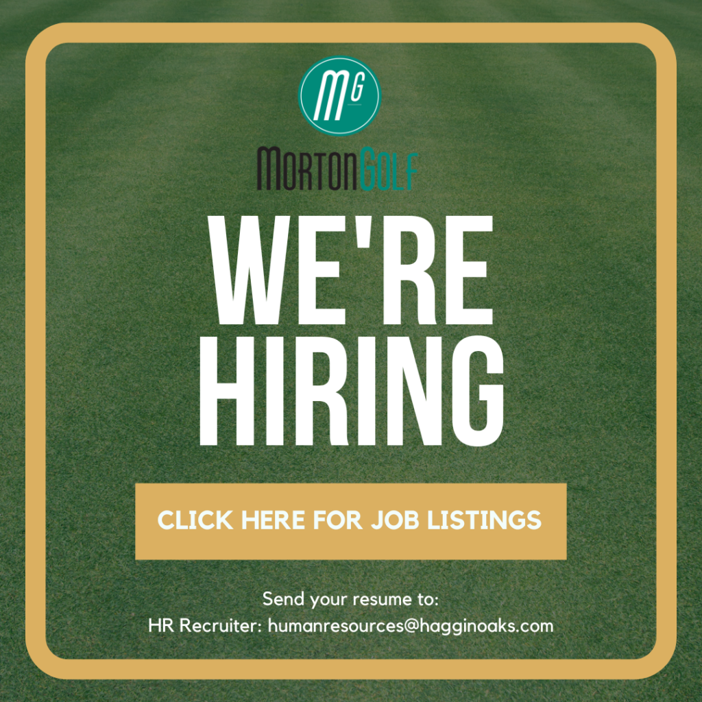 Job listing banner - We're Hiring on green grass background