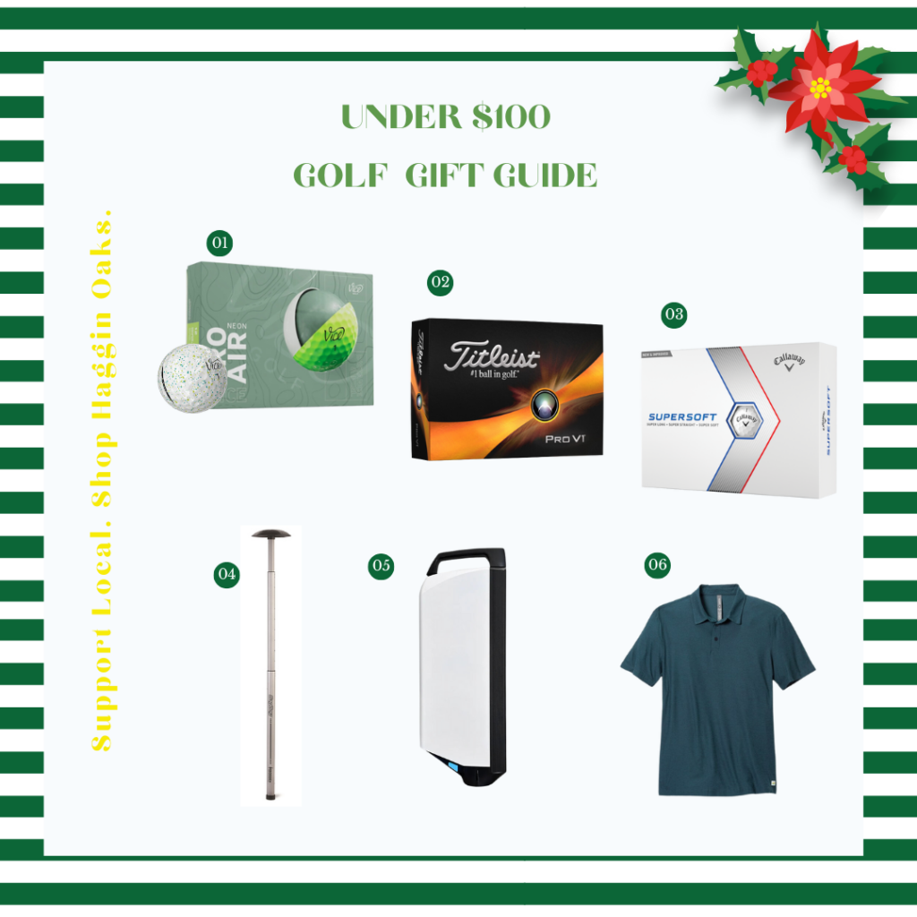 Under $100 Gifts Banner